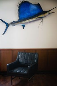 Fish Taxidermy