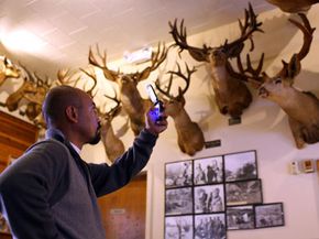 A customer at Foster's Bighorn Bar in Rio Vista, Calif., takes a cell phone picture of some of the 300 taxidermy animal heads on display.