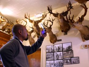 Equipment for skinning and their uses in mammals' taxidermy