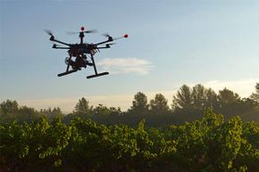 Drones, like this one filming a vineyard, alert growers to problems not visible from ground level, like fungal infestations.