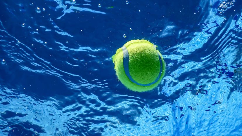 tennis ball in pool