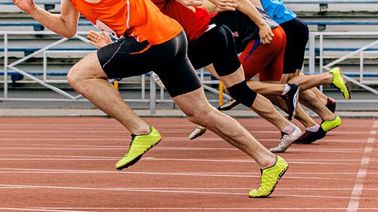 How One Key Protein May Help Tendons Enhance Athletic Performance