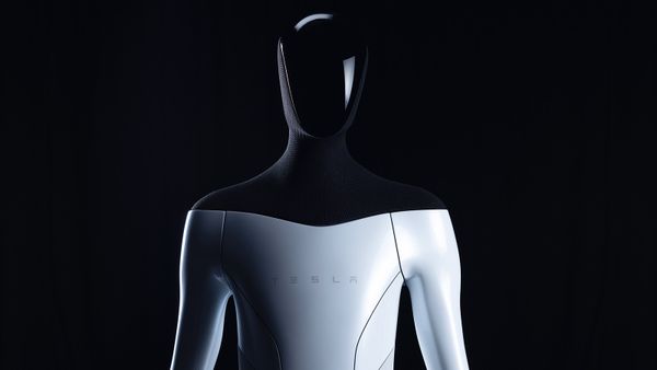 Is Elon Musk's New Tesla Bot the Stuff of Sci-fi Nightmares?