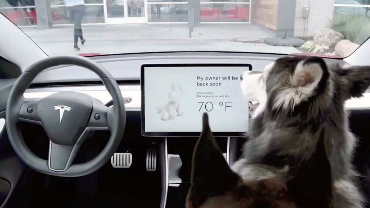 Tesla Dog Mode Keeps Pets Cool In Locked Cars HowStuffWorks