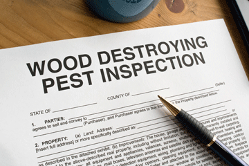 Make sure any paperwork you sign specifies termite treatment is the seller's concern.