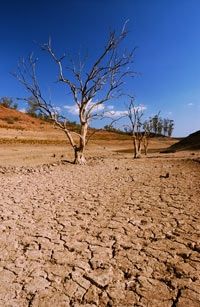 Climate change will likely cause lake beds to dry up one year and refill the next.
