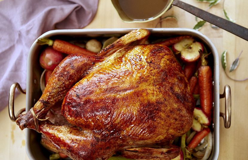 Gobble, Gobble! It's the Ultimate Thanksgiving Turkey Quiz
