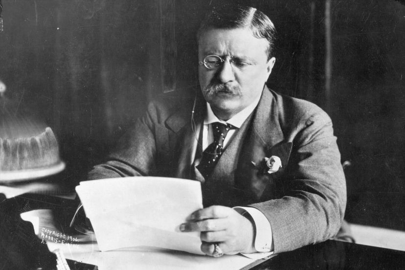 The Theodore Roosevelt Quiz