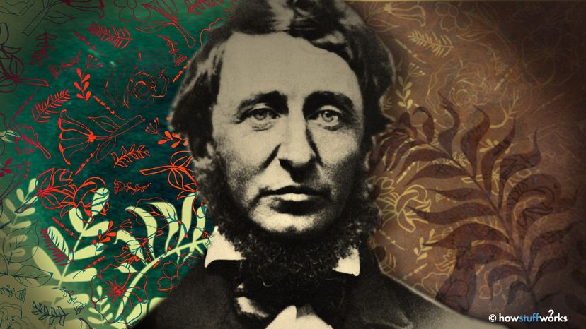 为什么我们Love Henry David Thoreau, in 5 Quotes | HowStuffWorks