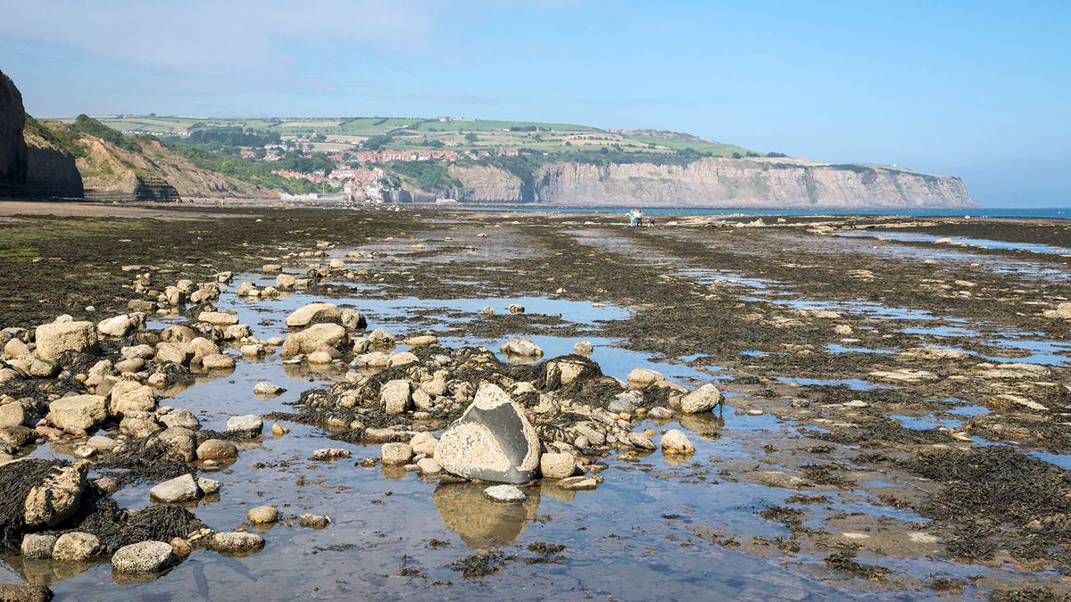 What Is A High Low Tide