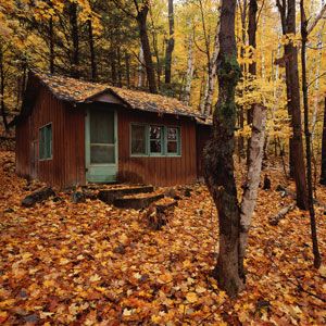 tiny house