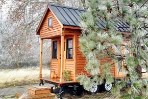 A tiny house sits next to a pine tree.