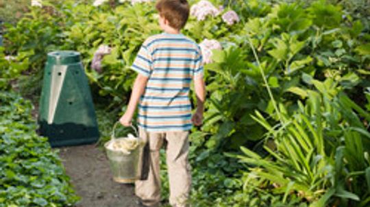 10 Tips for Composting in the City