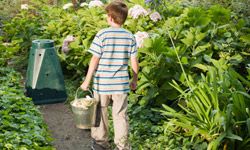 boy compost bin