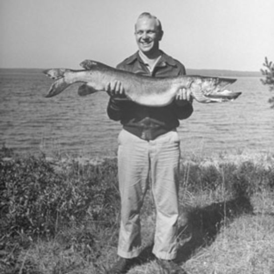 前三的小贴士马斯基”class=