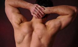muscular back man