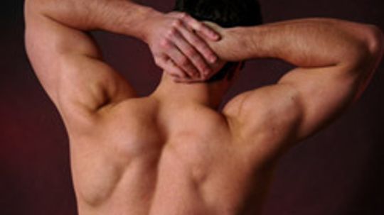 10 Tips on How to Get a Ripped Back