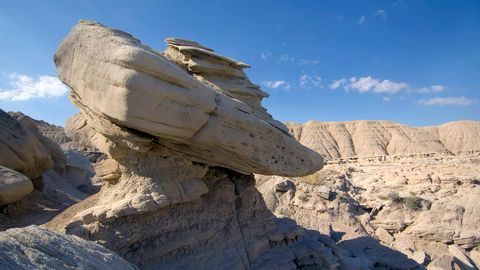 Toadstools Are Mother Nature's Geological Mushrooms - Vimarsana News