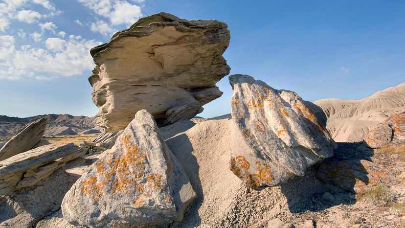 伞菌地质公园”width=