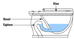 The Bowl Siphon - How Toilets Work