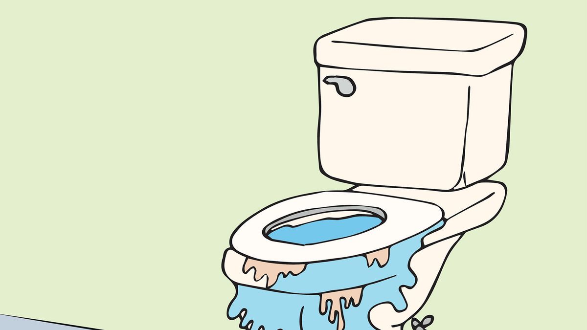 How to Unclog a Toilet Without a Plunger  HowStuffWorks