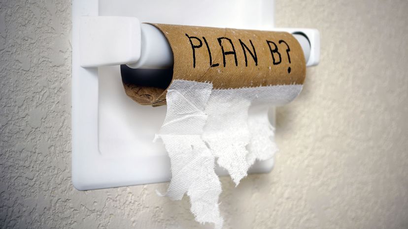 Don't Throw Out Those Paper Towel and Toilet Paper Rolls! Here Are