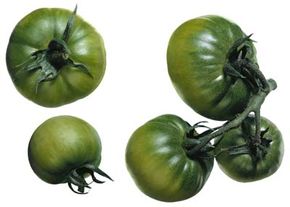 Tomatillo的意思是“小西红柿”;在西班牙语。查看更多关于番茄的图片。＂width=