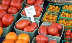 How many tasty tomatoes are wasted because they're butchered by the wrong knife?