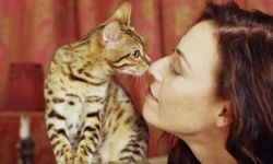 The kiss of death! (Well, for people with severe cat allergies, that is.)