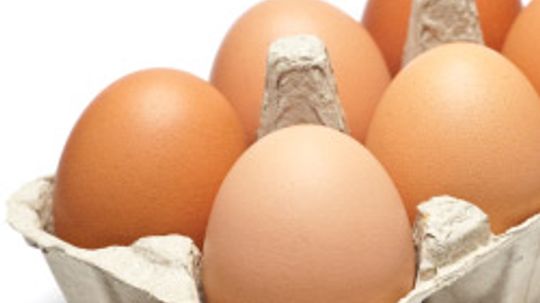 What can you substitute for eggs if you have an egg allergy?