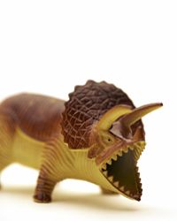 Imagine this beast in life-size form, and you have a pretty good idea what Dinosaur World is all about.