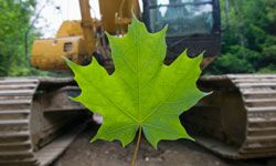 Leaf in front of bulldozer