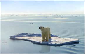 发表在《自然》(Nature)杂志上的一项研究表明，该研究中15%至37%的动物将在2050年前灭绝或濒临灭绝，这取决于地球温度的上升。＂border=