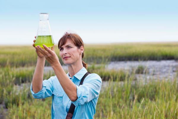 woman scientist in field