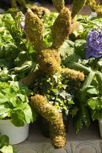 A topiary bunny made of trailing plants and sphagnum moss.
