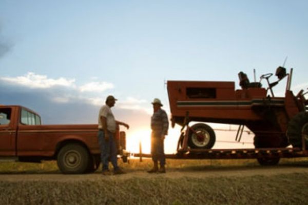 Men working outdoors in nature's agriculture.