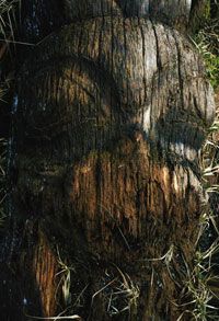 decaying totem pole