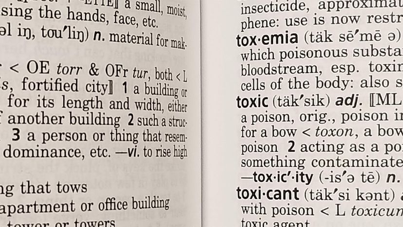 toxic, word of year	