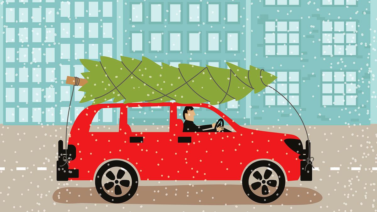 How to Safely Transport Your Christmas Tree Home