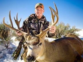 Person enjoying nature with one deer outdoors.