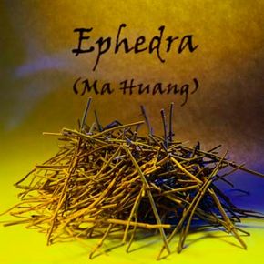Ephedra is a traditional Chinese medicine herb thatcan have both positive and negative side effects.