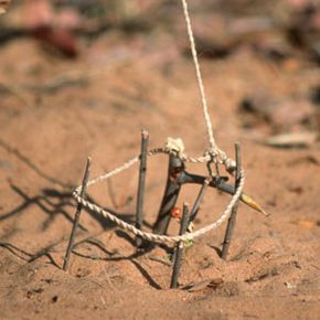 Nature's outdoor sand marks death.