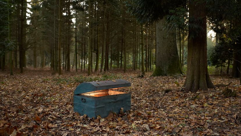 Treasure chest in woods