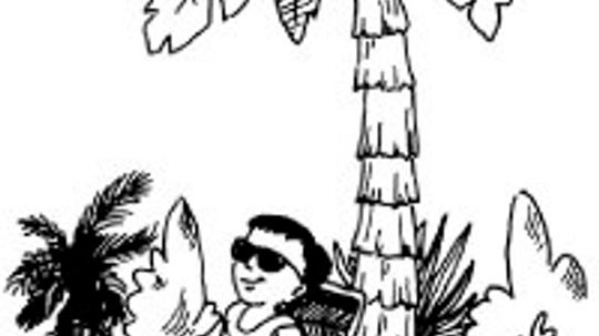 Nature Crafts | HowStuffWorks