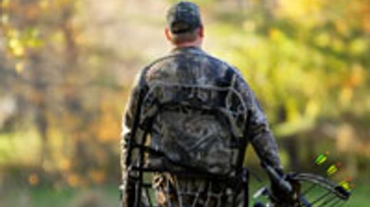 18新利最新登入树是如何工作的”width=