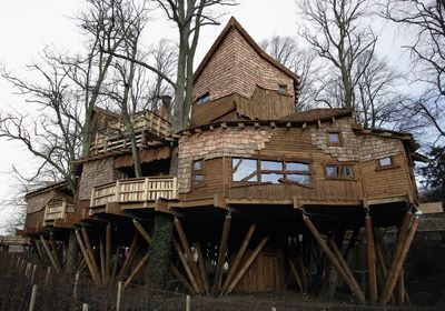 One of the world's largest tree houses.
