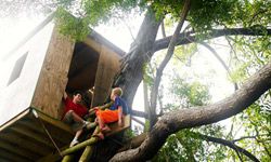 Two boys play in a tree house.