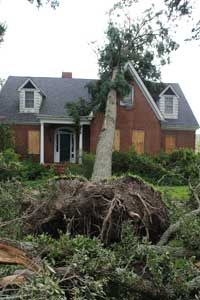 tree fallen on house