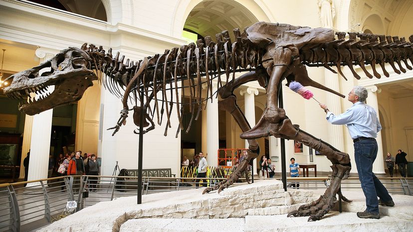 Why Did the T. Rex Have Such Puny Arms? | HowStuffWorks