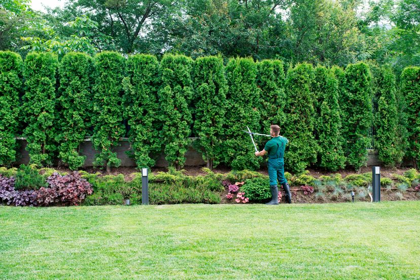 trim bushes and landscaping